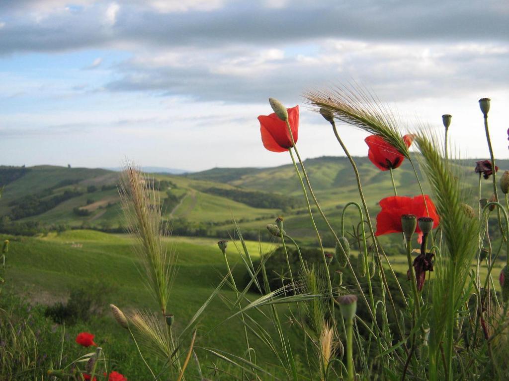 Certine Agriturismo Ашяно Екстер'єр фото