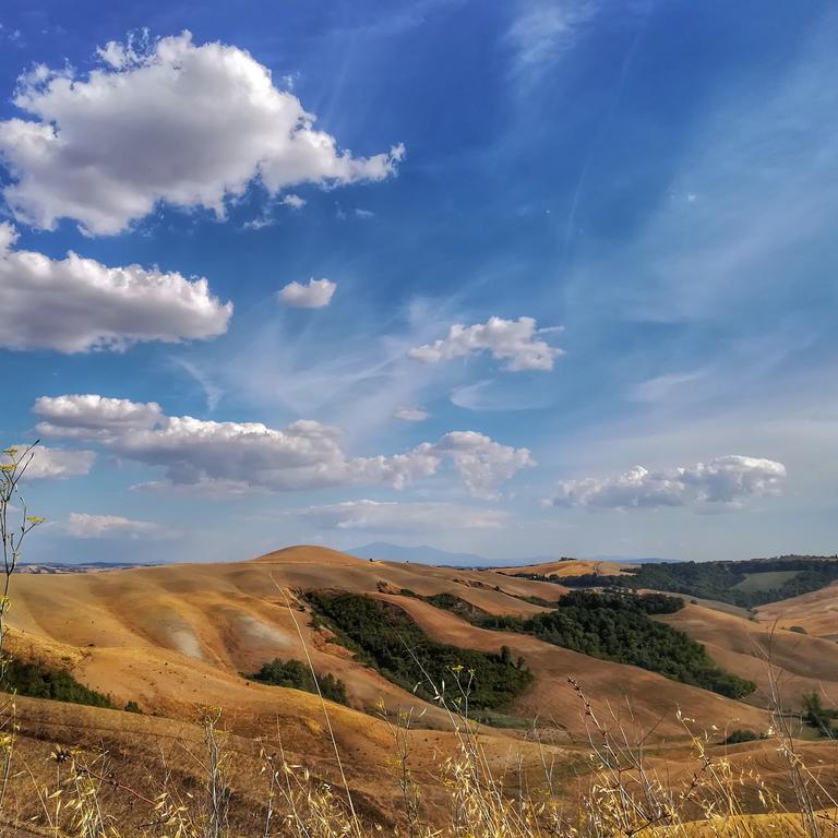 Вілла Certine Agriturismo Ашяно Екстер'єр фото