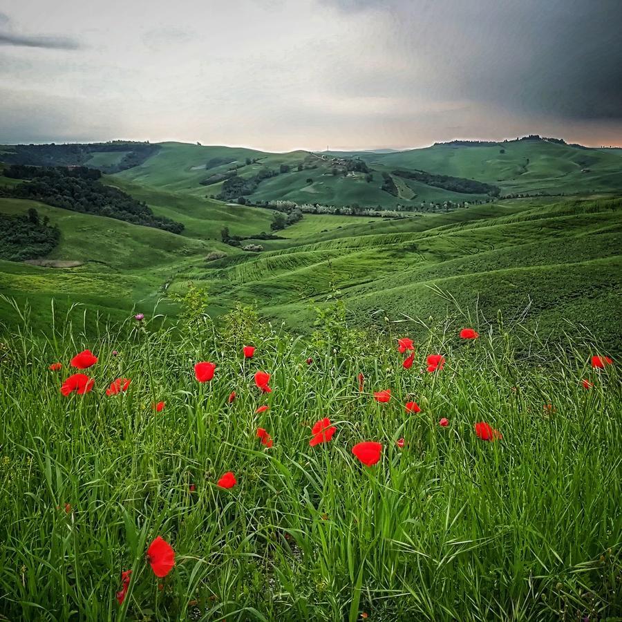 Certine Agriturismo Ашяно Екстер'єр фото
